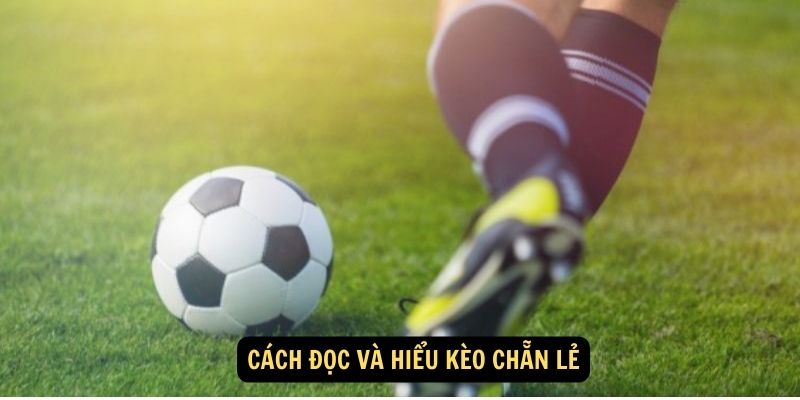 Cách đọc và hiểu kèo chẵn lẻ