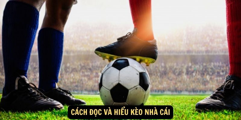 Cách đọc và hiểu kèo nhà cái