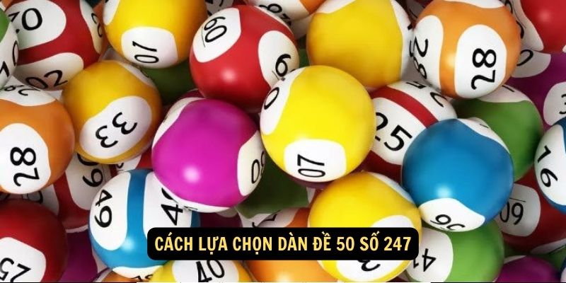 Cách lựa chọn dàn đề 50 số 247