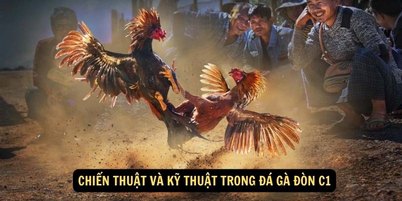 Chiến thuật và kỹ thuật trong đá gà đòn C1