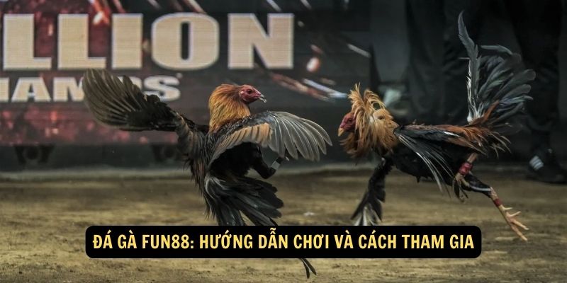 Đá gà FUN88: Hướng dẫn chơi và cách tham gia