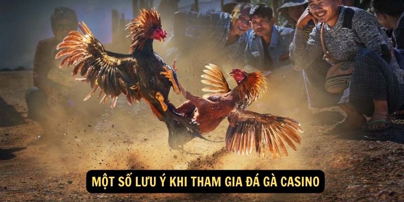 Một số lưu ý khi tham gia đá gà casino